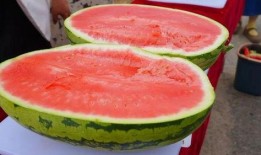 海伦斯瓜免费吃,畅享夏日甜蜜时光